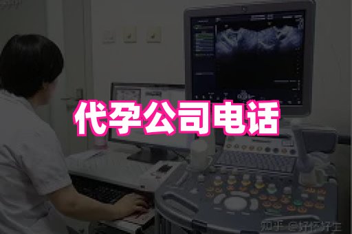 梦美助孕网 1