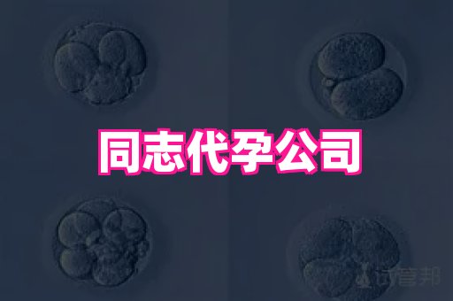梦美助孕网 4